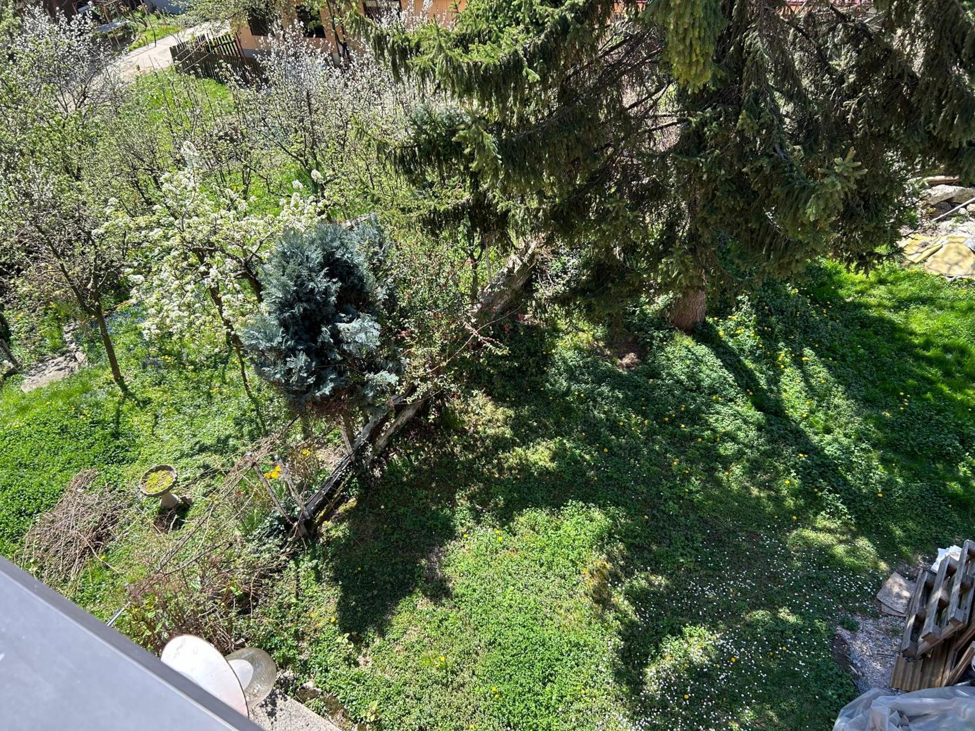 Hondo Rooms & Apartments Saraybosna Dış mekan fotoğraf